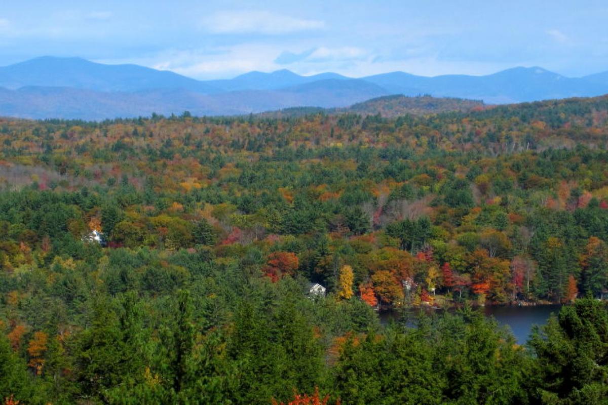White Mountain Ledge at Hamlin